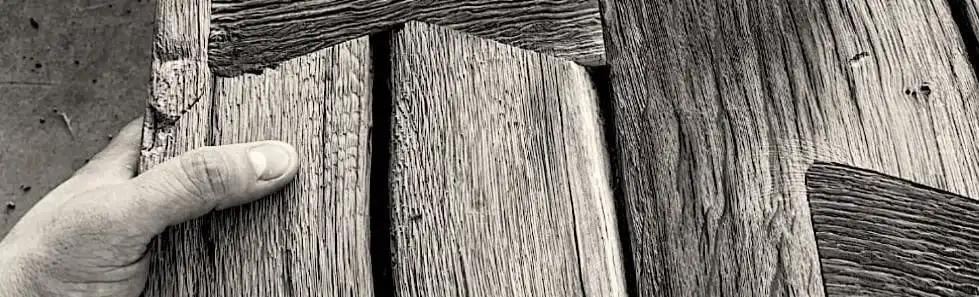 Photo en noir et blanc d’une personne tenant un morceau de vieux bois