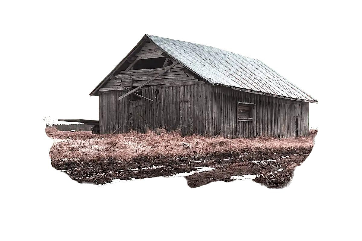 Une vieille grange en bois patinée avec un toit en pente se dresse au milieu d'herbes hautes, montrant des signes de décrépitude, son vieux bois racontant des histoires d'années passées.