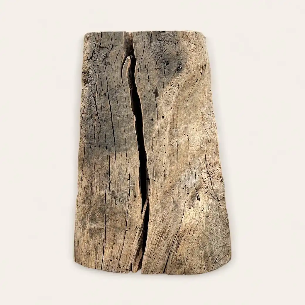  Un pied tronc de bois patinée traversée par une profonde fissure, affichée sur un fond uni. 